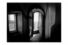 António Campos Leal