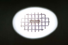 Lanternim de uma das salas de exposição